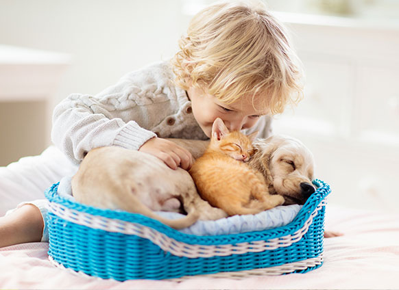 Pets can serve different purposes for children