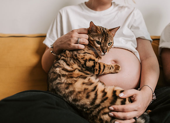 Why information about good food for baby might be tricky?