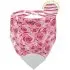 Bubbly Teething Bib - Rose