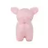 Musical Animal - Leon The Pig