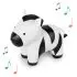 Musical Animal - Robert The Zebra