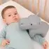 Musical Animal - Sam The Hippo