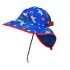 Sun Hat - The Beatles