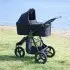 2022 Era/Indie/Speed Bassinet - Dusk