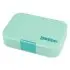 Original 6 Compartment - Serene Aqua