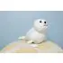 Musical Animals - Elliot the Seal