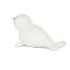 Musical Animals - Elliot the Seal