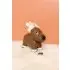 Musical Animals - Bruce the Moose