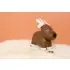 Musical Animals - Bruce the Moose