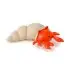 Musical Animals - Brigitte the Hermit Crab