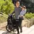 Wayfinder Single Stroller - Nightfall