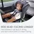 Poplar Convertible Car Seat - Stone Onyx