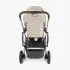 Cruz V2 Stroller - Declan