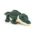 Allexi Alligator