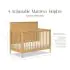 Ambrosia 4-in-1 Convertible Crib - Honey