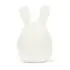 Amuseable Bunny Egg
