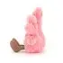 Amuseable Coral