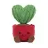 Amuseable Kerrii Cactus