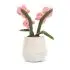 Amuseable Pink Orchid