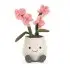 Amuseable Pink Orchid