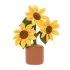 Amuseable Sunflower