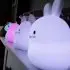 Mallow Pet Penguin LED Nightlight