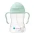 Sippy Straw Cup 240ml - Pistachio