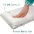 Toddler Pillow with Bamboo Pillow Case