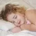 Toddler Pillow with Bamboo Pillow Case
