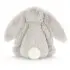 Bashful Grey Bunny Really Big
