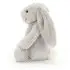 Bashful Grey Bunny Really Big