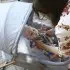 Bassinet - Amherst