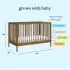 Birdie 3-in-1 Convertible Crib - Walnut