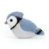 Birdling Blue Jay