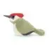 Birdling Woodpecker 4