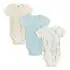 Bodysuit 3 Pack - Desert Cactus