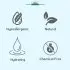 Bottle & Dish Liquid Fragrance Free 500mL