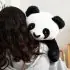 Bowie the Panda