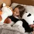Bowie the Panda