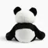 Bowie the Panda
