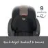 Grow With You - Mod Black Safewash