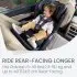 Poplar S Convertible Car Seat - Stone Onyx