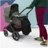Butterfly Transport Bag