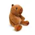 Cam the Capybara