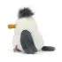 Chip Seagull