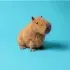 Clyde Capybara