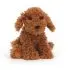Dapper Dog Cooper Labradoodle Pup 11