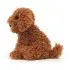 Dapper Dog Cooper Labradoodle Pup 11