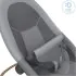 Dove Pro Bouncer - Elegance Graphite