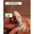 Electric Baby Nail File - Low Noise